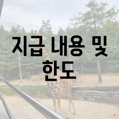 지급 내용 및 한도