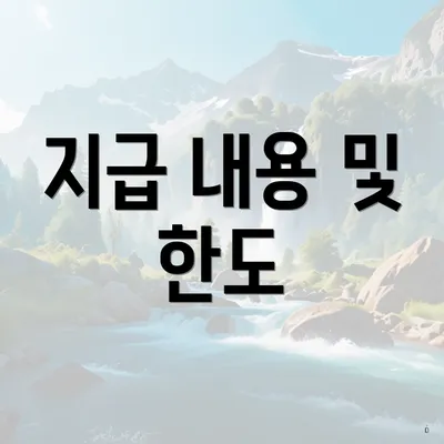 지급 내용 및 한도