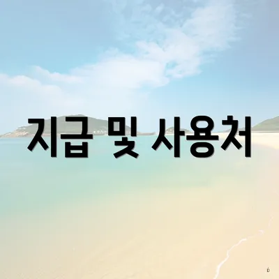 지급 및 사용처