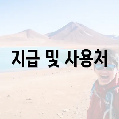 지급 및 사용처