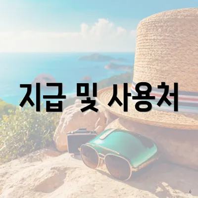 지급 및 사용처