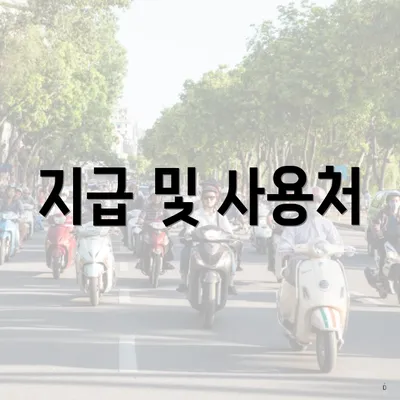 지급 및 사용처