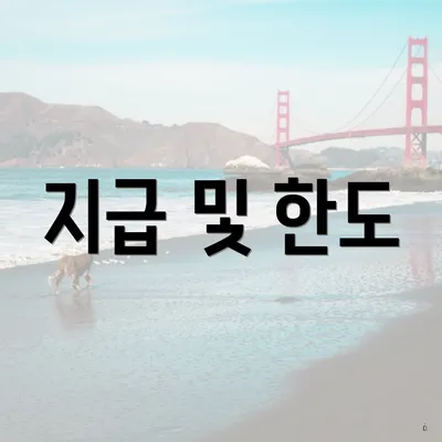 지급 및 한도