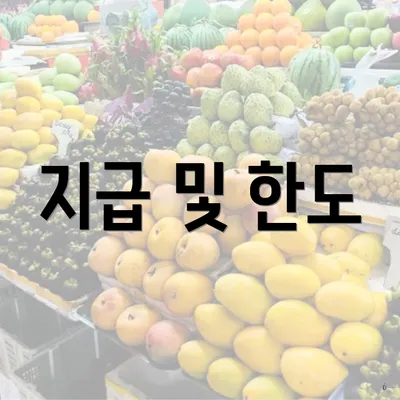지급 및 한도