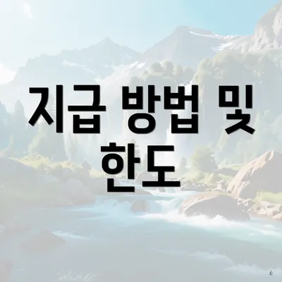 지급 방법 및 한도