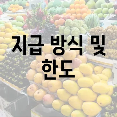 지급 방식 및 한도