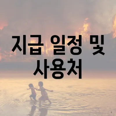 지급 일정 및 사용처