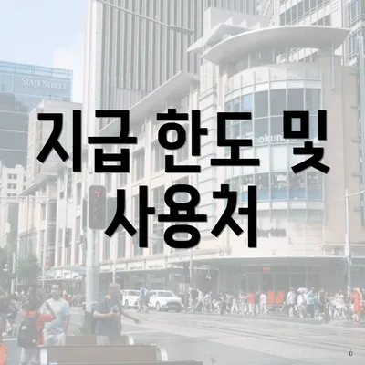 지급 한도 및 사용처