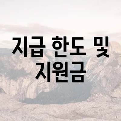 지급 한도 및 지원금