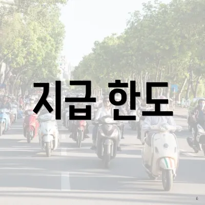 지급 한도