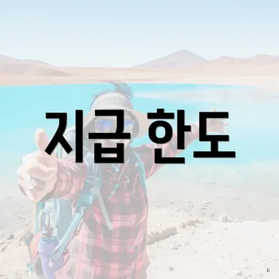 지급 한도
