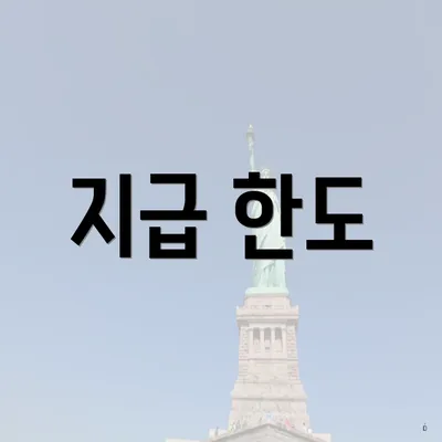 지급 한도