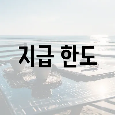 지급 한도