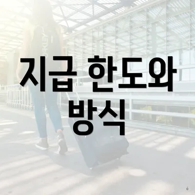 지급 한도와 방식