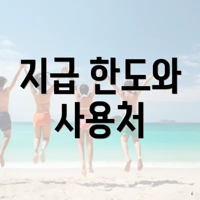 지급 한도와 사용처