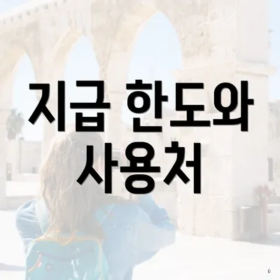 지급 한도와 사용처