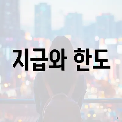 지급와 한도