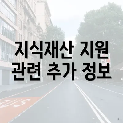 지식재산 지원 관련 추가 정보