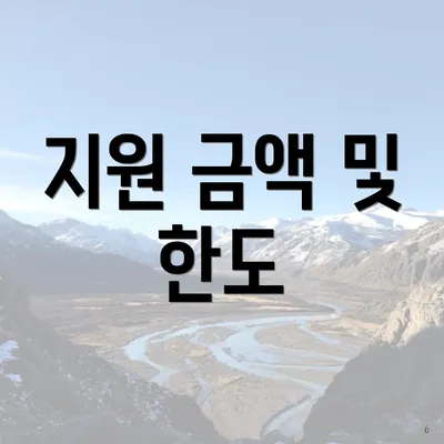 지원 금액 및 한도