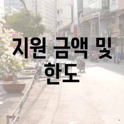 지원 금액 및 한도