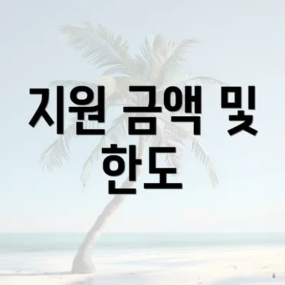 지원 금액 및 한도