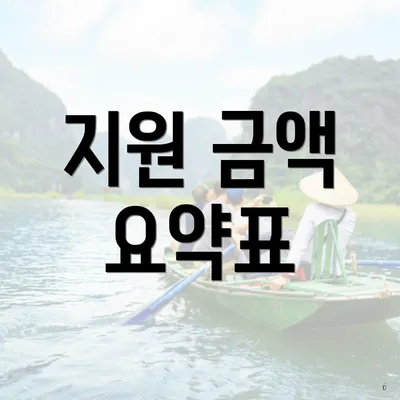 지원 금액 요약표