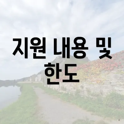지원 내용 및 한도