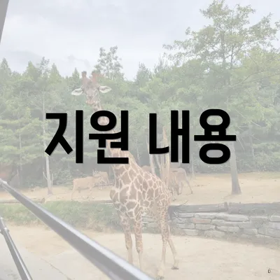 지원 내용