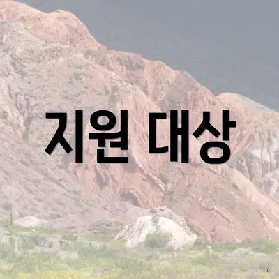 지원 대상