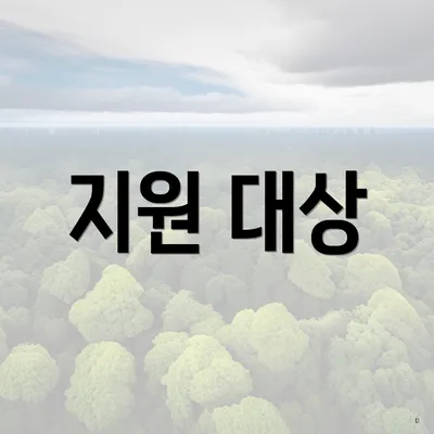 지원 대상