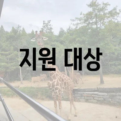 지원 대상