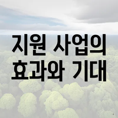 지원 사업의 효과와 기대