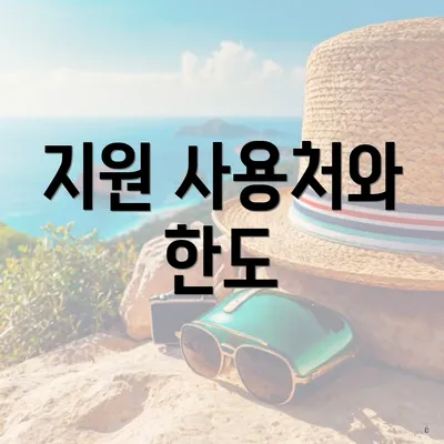 지원 사용처와 한도