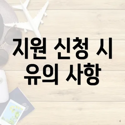 지원 신청 시 유의 사항