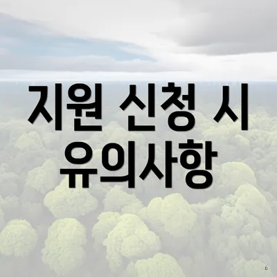 지원 신청 시 유의사항