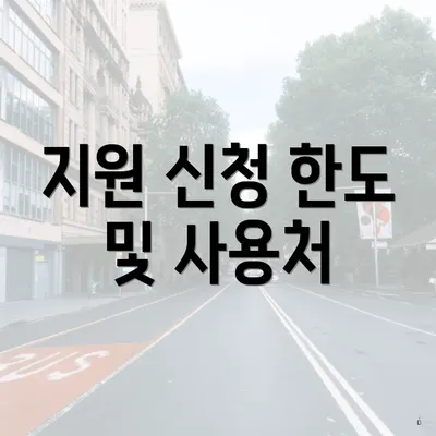 지원 신청 한도 및 사용처