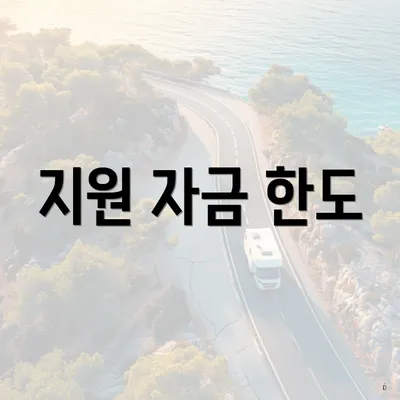 지원 자금 한도