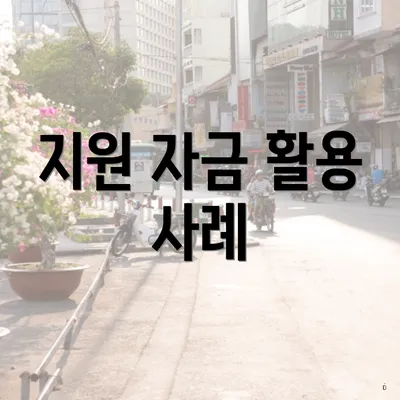지원 자금 활용 사례