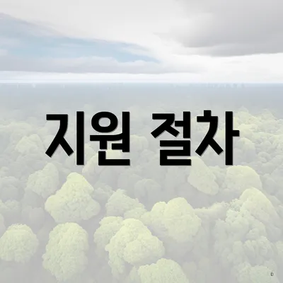 지원 절차
