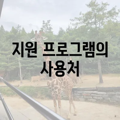 지원 프로그램의 사용처