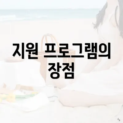 지원 프로그램의 장점