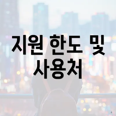 지원 한도 및 사용처