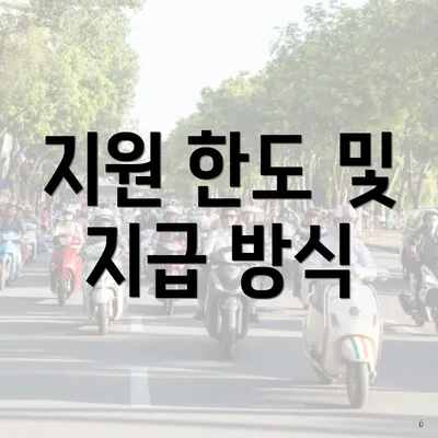 지원 한도 및 지급 방식