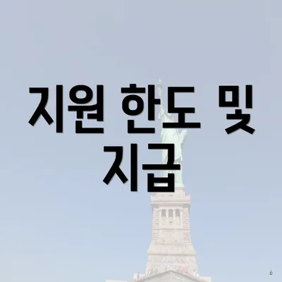 지원 한도 및 지급
