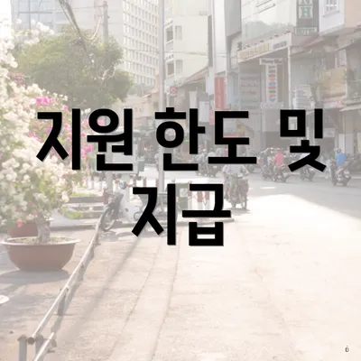 지원 한도 및 지급
