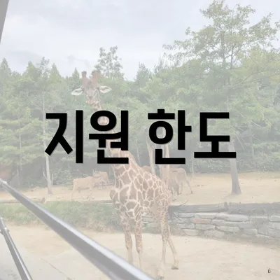 지원 한도