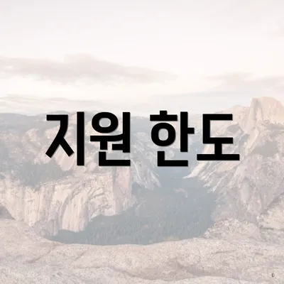 지원 한도