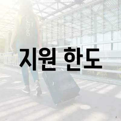 지원 한도