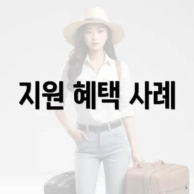지원 혜택 사례