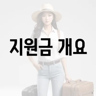 지원금 개요